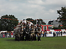 Dorpsfeest Hoogland