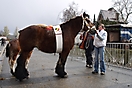 Evergem jaarmarkt 2009