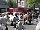 Evergem Jaarmarkt