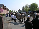 Evergem Jaarmarkt