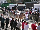 Evergem Jaarmarkt