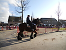 Ganzenrijden 2012