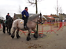 Ganzenrijden 2012