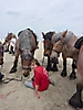 Oostduinkerke 2010