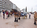 Oostduinkerke 2010