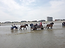 Oostduinkerke 2010