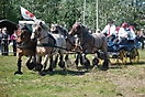 Oostduinkerke 2010