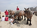 Oostduinkerke 2010