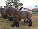 Oostduinkerke 2011