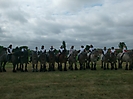 Oostduinkerke 2011