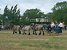 Oostduinkerke 2011