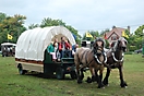 Trekpaardenhappening 2009