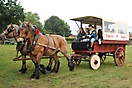 Trekpaardenhappening09