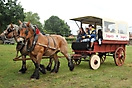 Trekpaardenhappening 2009