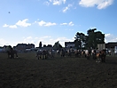 Trekpaardenhappening09