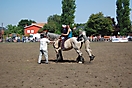 Trekpaardenhappening 2010