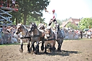 Trekpaardenhappening 2010