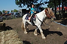 Trekpaardenhappening 2010