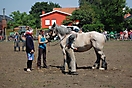 Trekpaardenhappening 2010