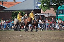 Trekpaardenhappening 2010