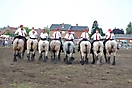 Trekpaardenhappening 2010