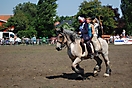 Trekpaardenhappening 2010