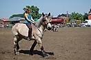 Trekpaardenhappening 2010