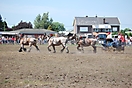 Trekpaardenhappening 2010