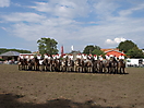 Trekpaardenhappening