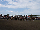 Trekpaardenhappening