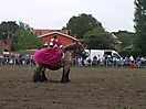 Trekpaardenhappening 2011