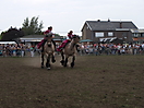 Trekpaardenhappening