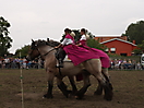 Trekpaardenhappening 2011