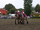 Trekpaardenhappening