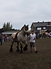 Trekpaardenhappening