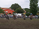 Trekpaardenhappening