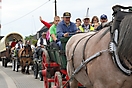 Trekpaardenhappening 2011