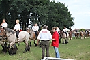 Trekpaardenhappening 2011