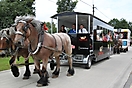 Trekpaardenhappening 2011