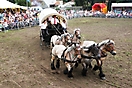 Trekpaardenhappening 2011