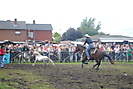 Trekpaardenhappening 2012