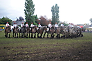 Trekpaardenhappening 2012