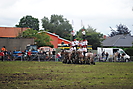 Trekpaardenhappening 2012