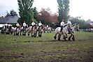 Trekpaardenhappening 2012