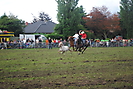 Trekpaardenhappening 2012