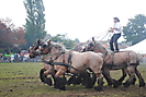 Trekpaardenhappening 2012