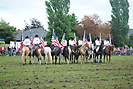 Trekpaardenhappening 2012