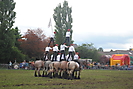 Trekpaardenhappening 2012