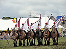 Trekpaardenhappening 2012