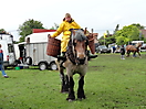 Trekpaardenhappening 2012